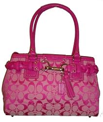 Women's Coach Purse Handbag Hamptons Signature Carry All 13065
