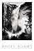 Kitchen & Housewares : Bridal Veil Falls by Ansel Adams. Art Print Poster 24 inches width by 36 inches height. Highest Quality Art Poster Print