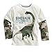 Baby Box Little Boys' kids long sleeve T-Shirts