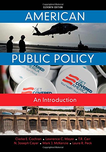 american public policy an introduction