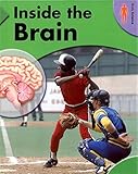 Inside the brain