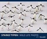 Zoom Produkt-Bild: Starke Typen 2012: Welt der Tiere - Wildlife Photography