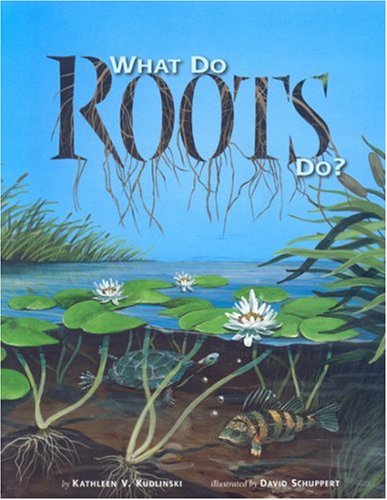 What do Roots Do?