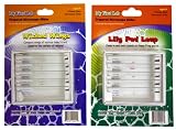 My First Lab Prepared Slide Set Combo Pack - Lily Pad Leap & Wicked Wings