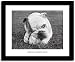 OBSESS Bull Dog English Baseball Pug Framed Art Print