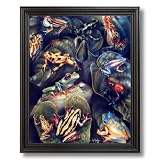 Red Eyed Frog With Frog Collage Wildlife Wall Picture Black Framed Art Print