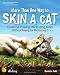 More Than One Way to Skin a Cat: Create Eye-Popping Effects Using Aviary (Without Paying for Photoshop!): Surreal Image Editing on the Internet