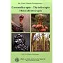Gemmotherapie - Phytotherapie - Mineralientherapie