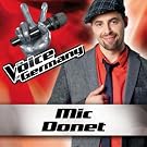 Ain't No Sunshine (from The Voice of Germany)
