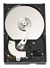 Western Digital WD3200JBRTL...