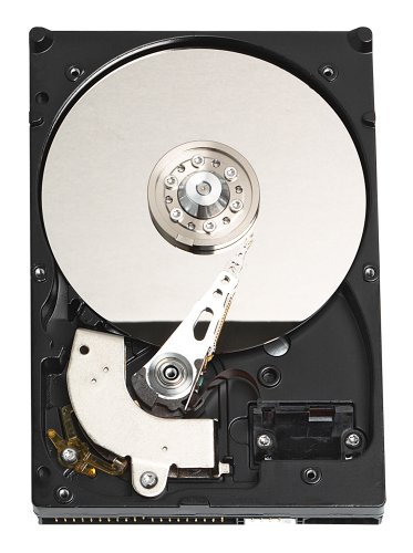 Western Digital WD3200JBRTL Caviar 320 GB PATA 3.5-Inch Hard Drive Western Digital WD3200JBRTL Caviar 320 GB PATA 3.5-Inch Hard Drive