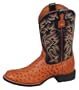 Ariat 2567 Men's Cobalt XR Pro Full-Quill Ostrich Antique Russet/Cadet Blue 9.5 EE