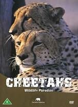 Wildlife Paradise - Cheetahs [DVD]