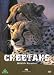 Wildlife Paradise - Cheetahs [DVD]