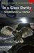 In A Glass Darkly (Wordsworth Mystery & Supernatural) (Tales of Mystery & the Supernatural)