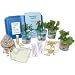 Delta Education 080-1790 Hydroponics Kit