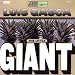 The Little Giant at Amazon mp3: 510etemJkSL._SL75_