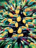 Toucans Can! Jigsaw Puzzle 1000pc