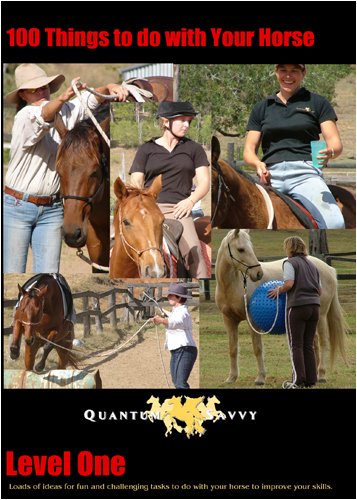 100 Things To Do With Your Horse! Level 1 Picture