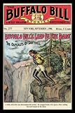 Canvas Print, The Buffalo Bill Stories: Buffalo Bill's Leap in the Dark - 20x30