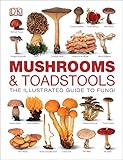 Mushrooms & toadstools : the definitive guide to fungi