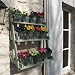 Plant Theatre Three tier Herb Plant Stage pots Plants Not Included Ideal Mothers Day Gift Pictured Painted Wood In Sage