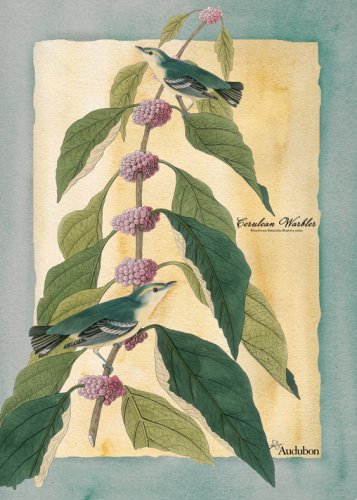 Audubon Garden Flag-Cerulean Warbler