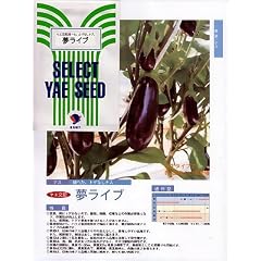 夢ライブ　八重農芸のナス品種です