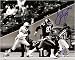 Louis Lipps Autographed/Hand Signed Pittsburgh Steelers 8x10 Photo (Vs. Dolphins)