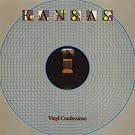 Vinyl Confessions