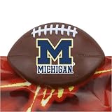 Michigan Wolverines Sports Chip Clip