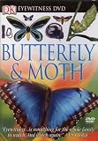 Butterfly and Moth (Dk Eyewitness Books)