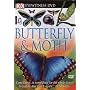 Butterfly and Moth