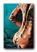 Tattoo Natures Way Koi Coi Asian Art 24X36 Poster 33395