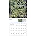 2015 Monet Wall Calendar Calendar Ink