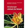 Strasburger - Lehrbuch der Botanik