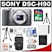 Sony Cyber-Shot DSC-H90 Digital Camera (Silver) with 16GB Card + Case + Battery + 2 Tripods + Accessory Kit
