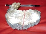 Review   / Clamshell Geode Over 200 Million Years Old, Collector's Item