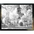 Afternoon in Paris Framed Print - 26x38"