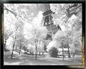 Afternoon in Paris Framed Print - 26x38"