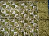 KYLIE GREEN EMBROIDER QUEEN QUILTED COVERLET