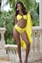 Lemon Lush Swimsuit V-Front Bottom : Swimwear Bottom Only