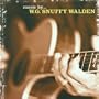 Music by... W.G. Snuffy Walden