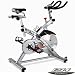 BH Fitness SB3 Indoor Magnetic Exercise Bike