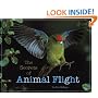 The Secrets of Animal Flight