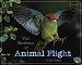 The Secrets of Animal Flight