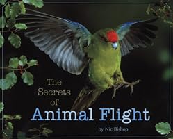 The Secrets of Animal Flight