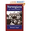 Norwegians in Wisconsin (Ethnic Series)