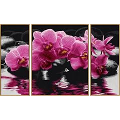 Malen nach Zahlen 609260603 - Orchideen - Triptychon