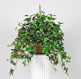House of Silk Flowers Artificial Variegated English Ivy Hanging Basket 32w x 32h